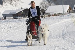 Lenk 2012 SM